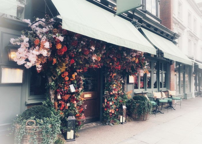 the ivy garden chelsea.